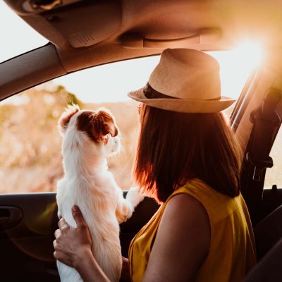 young-woman-and-dog-into-a-car-watching-sunset-travel-concept-summer-time_t20_mLoJx3